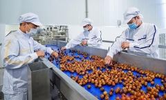 Miễn, giảm nhiều khoản thuế cho người dân, doanh nghiệp bị ảnh hưởng bởi dịch COVID-19
