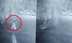 Bé gái 6 tuổi ở Ấn Độ tử vong sau khi bị báo hoa mai tấn công: Camera ghi lại cảnh đau lòng
