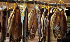 Cách nấu cháo bồ câu bằng nồi cơm điện