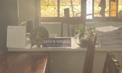 Bãi nhiệm chức vụ phó chủ tịch phường ở Bình Định biệt tăm sau thời gian nghỉ phép