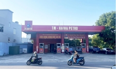 Công ty đầu mối Hải Hà bị tước giấy phép