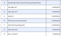 Vụ một lớp ở TP.HCM dự chi hơn 165 triệu tiền quỹ phụ huynh: Hiệu trưởng nói gì?