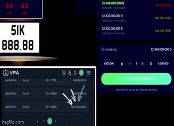 Đấu giá lại, biển siêu đẹp 51K - 888.88 chốt giá chưa bằng một nửa mức giá cũ