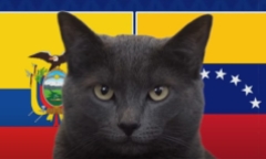 Nhận định trận Ecuador vs Venezuela, Copa America 2024 5h ngày 23/6: Mèo Cass chọn Ecuador