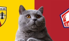 Nhận định soi kèo trận Lens vs Lille, Ligue 1 2h ngày 27/10: Mèo tiên tri “tạo phản”