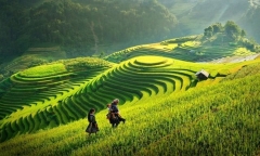 Thời điểm bắt đầu tổng điều tra tài nguyên du lịch trên phạm vi cả nước