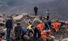 Clip: Cận cảnh con trăn khổng lồ dài 7,3 mét, siết tử vong một người đàn ông trên đường về nhà