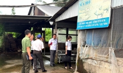 Kiểm tra lò mổ heo nơi cung cấp thịt cho các cửa hàng C.P. ở Sóc Trăng