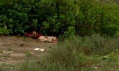 Bi kịch Tình- Tiền: Thi thể lõa thể của nữ sinh bên bờ biển, tố cáo tội ác của gã người yêu 