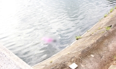 Bắc Ninh: Nam bệnh nhân rơi từ tầng 8 bệnh viện, tử vong