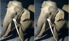 Bắc Ninh: Nam bệnh nhân rơi từ tầng 8 bệnh viện, tử vong