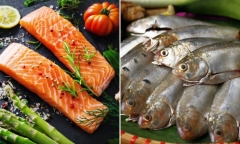 Loại cá “vàng” giúp ngừa đột quỵ: Ăn 2 lần/tuần, nhận lợi ích sức khỏe bất ngờ