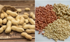 Ai cần tránh hoặc hạn chế ăn ít lạc?