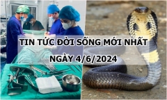 Tin tức đời sống ngày 4/6/2024: “Bé na lịch sự gõ cửa” để “xin” vào nhà dân