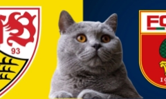 Dự đoán kết quả trận Augsburg vs Stuttgart, Bundesliga 23h30 ngày 12/1: Mèo tiên tri theo bản năng
