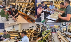 Thanh Hóa: Khởi tố, bắt tạm giam “Tùng Moscow” về tội buôn lậu