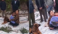 Vụ bé trai 6 tuổi đi lạc, được chú chó trung thành bảo vệ suốt đêm: Người mẹ tiết lộ điều bất ngờ