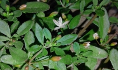  Chủ tịch Đèo Cả chia sẻ bí kíp xây dựng những công trình 