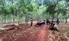 Vụ phát hiện thi thể nam giới treo trên cây cao su ở Bình Phước: Chưa xác định được danh tính