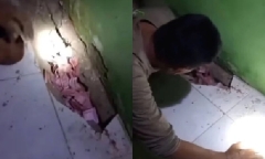 Tường nhà tự 