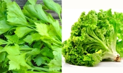 Mất ngủ do nóng gan tuyệt đối đừng bỏ qua loại rau này!