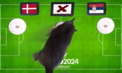 Nhận định trận Đan Mạch vs Serbia, EURO 2024 2h ngày 26/6: Mèo Cass “tiên tri” bất ngờ
