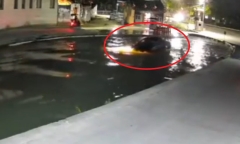 Nhầm hồ nước với bãi đỗ xe, tài xế Mercedes nhận kết đắng