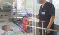 Bé 7 tuổi được chẩn đoán mắc viêm não sau khi bị chó nhà cắn