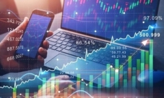 Vì sao công ty TNHH Hướng Dương Holdings bị xử phạt?
