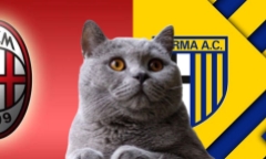 Nhận định soi kèo trận Parma vs AC Milan, Serie A 23h30 ngày 24/8: Mèo tiên tri quyết chiến
