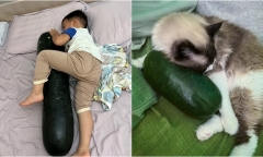 Cẩn trọng với trào lưu 