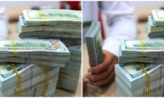 Tỷ giá USD hôm nay 19/11: Đồng xanh trải qua tuần biến động