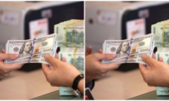 Tỷ giá USD hôm nay 1/12: Đồng xanh bất ngờ bật tăng đạt mốc 103