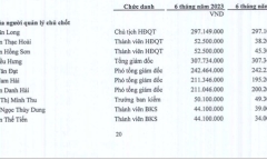 Công ty Cổ phần Cảng Nghệ Tĩnh (NAP): Lãi ròng giảm 33,8% quý II/2023