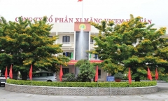 Kinh doanh bết bát, cổ phiếu HVX của Vicem Hải Vân bị đưa vào diện cảnh báo