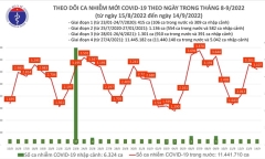 Dịch COVID-19 ngày 14/9: Số ca mắc Covid-19 mới tiếp tục ở mức cao