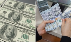 Tỷ giá USD hôm nay 13/8: Đồng USD tiếp tục đà tăng vọt