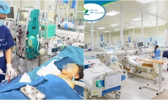 Gần 100 vết ong đốt toàn thân, bé trai 10 tuổi tử vong do suy đa dạng