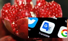 Sử dụng google dịch để gọi đồ uống, du khách nước ngoài bị bắt khẩn cấp vì lý do này