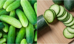 Đừng ăn dưa chuột nếu bạn là một trong những nhóm người này