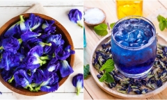 Những người không nên sử dụng hoa đậu biếc kẻo mang bệnh vào người