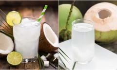 Những người không nên uống nước dừa kẻo mang bệnh vào người