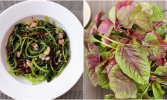  Những người không nên ăn rau dền kẻo 