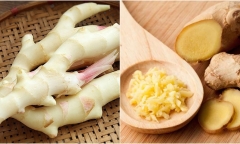Đừng ăn gừng nếu bạn là một trong những nhóm người này