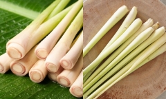 Loại gia vị được xem là 