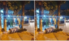Lao lên vỉa hè rồi tông vào cây xanh, thanh niên đi xe máy tử vong thương tâm