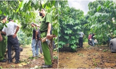 Vụ người đàn ông tử vong cạnh bơm kim tiêm: Vừa ra tù vào ngày 8/10