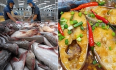 Loại cá nào của Việt Nam được người Trung Quốc “mê không lối thoát”, chi hàng chục triệu USD mỗi tháng để nhập khẩu?