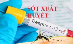 Dịch sốt xuất huyết ở Hà Nội tăng mạnh trong một tuần gần đây