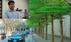 Cựu Chủ tịch UBND TP Hà Nội Nguyễn Đức Chung sắp hầu tòa vụ nâng khống giá cây xanh